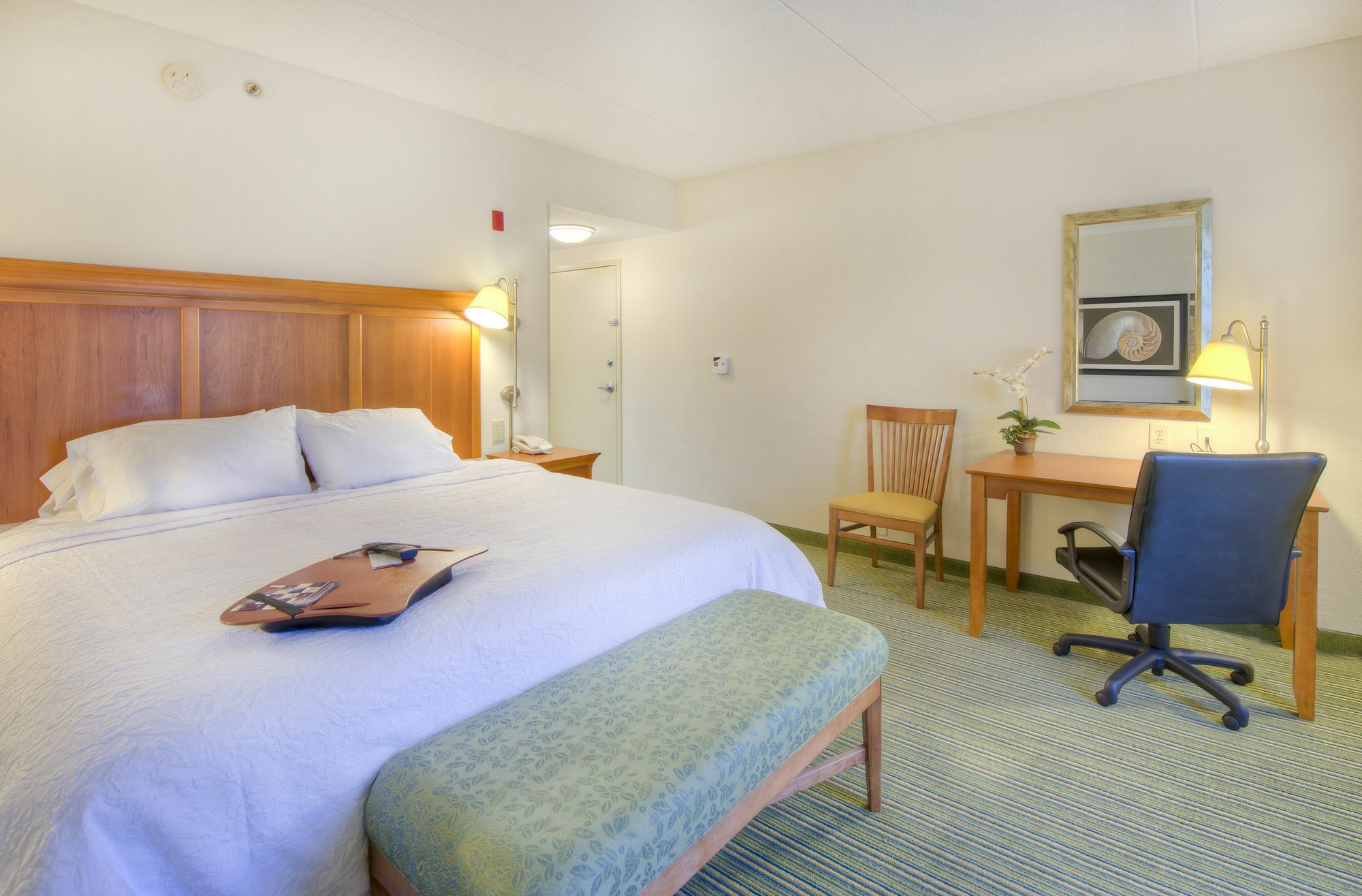Hampton Inn Wilmington University Area Exterior photo